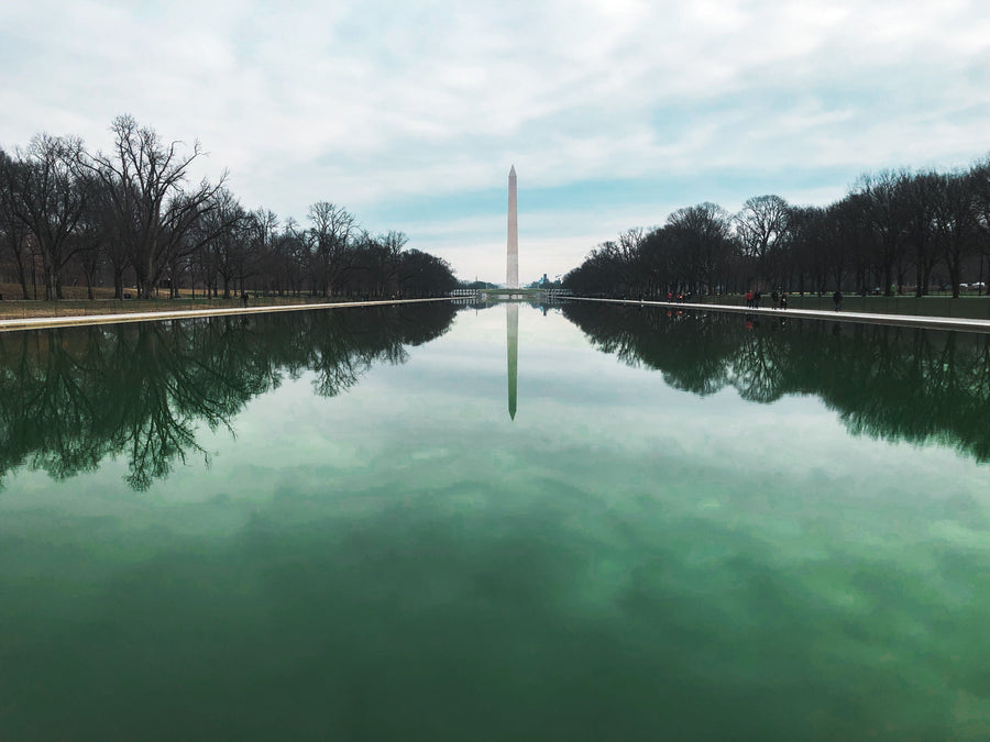 The Algae Debate Is a Sales Opportunity. Here Is How to Use It.